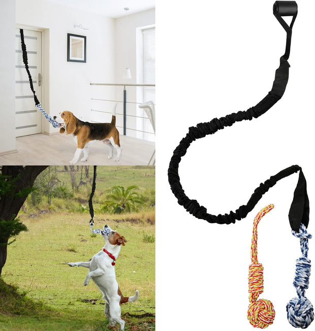 Spring Pole Bungee Tug Toy for Dogs – Outdoor/Indoor Tug-of-War, Teeth Cleaning & Muscle Training
