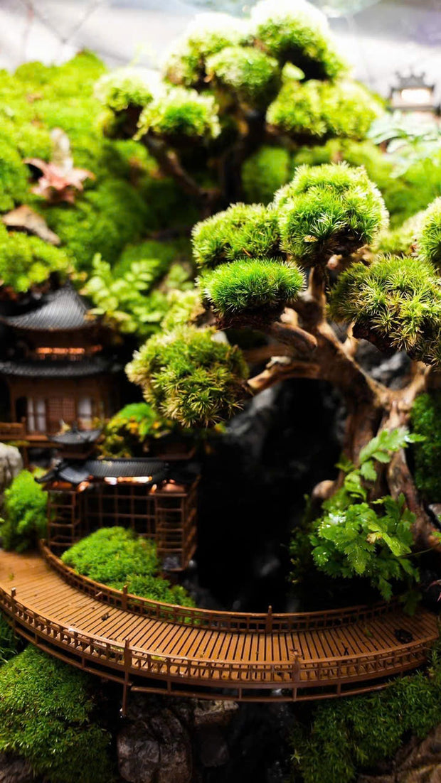 Ancient Town - Glass Container Decoration