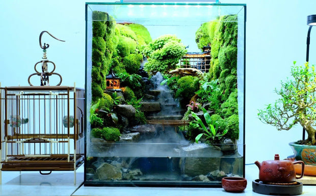 Natural Waterfall Stream Landscape with Loft &amp; Courtyard Design