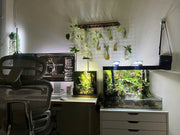 Tropical Forest Reservoir – Self-Sustaining Ecosystem Kit