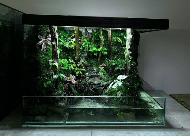 Tropical Forest Reservoir – Self-Sustaining Ecosystem Kit