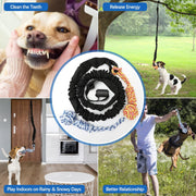 Spring Pole Bungee Tug Toy for Dogs – Outdoor/Indoor Tug-of-War, Teeth Cleaning & Muscle Training
