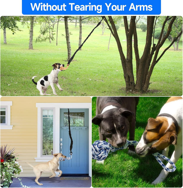 Spring Pole Bungee Tug Toy for Dogs – Outdoor/Indoor Tug-of-War, Teeth Cleaning & Muscle Training