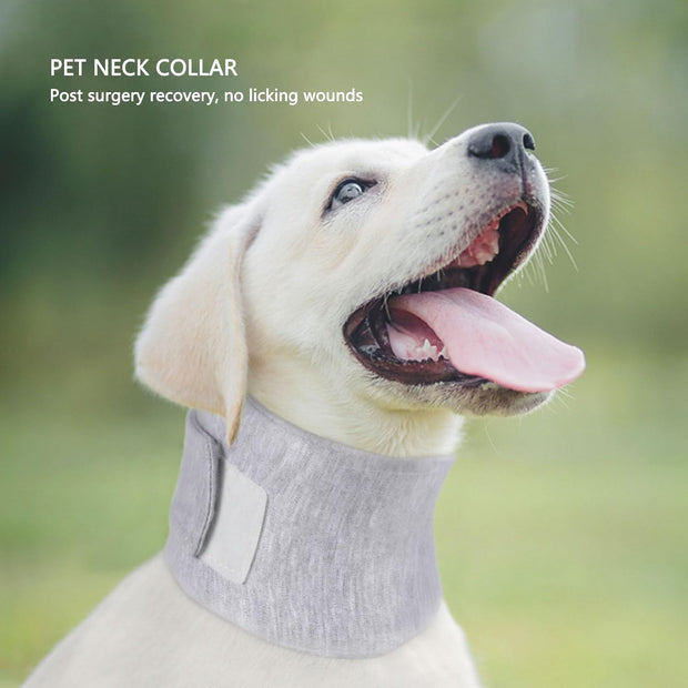 Pet Recovery Neck Collar – Soft Cotton Support for a Faster, Safer Healing 🐶🐱