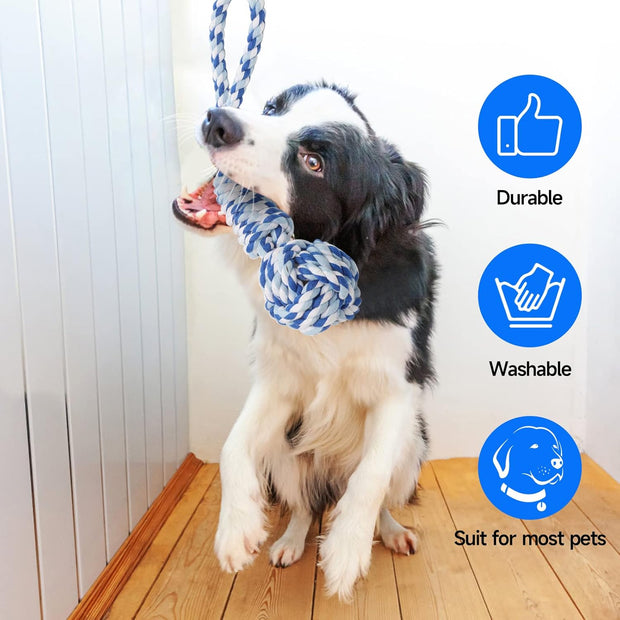 Spring Pole Bungee Tug Toy for Dogs – Outdoor/Indoor Tug-of-War, Teeth Cleaning & Muscle Training