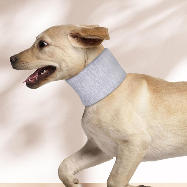 Pet Recovery Neck Collar – Soft Cotton Support for a Faster, Safer Healing 🐶🐱