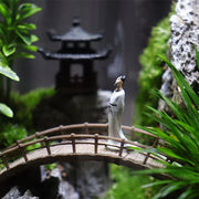 🌿&nbsp;Tranquil Zen Garden - Nature's Sanctuary in Your Space&nbsp;🌱