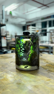 Nano Desktop Waterfall - Miniature Zen Garden Ecosystem&nbsp;🌿💧