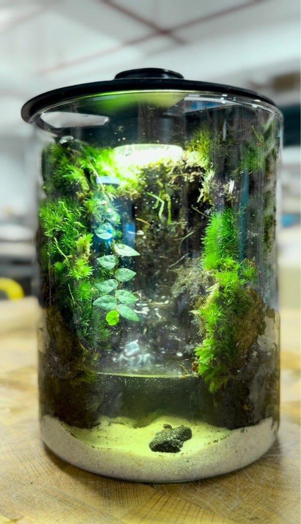 Nano Desktop Waterfall - Miniature Zen Garden Ecosystem&nbsp;🌿💧