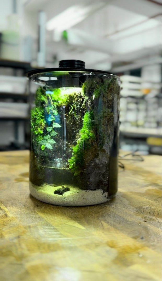 Nano Desktop Waterfall - Miniature Zen Garden Ecosystem&nbsp;🌿💧