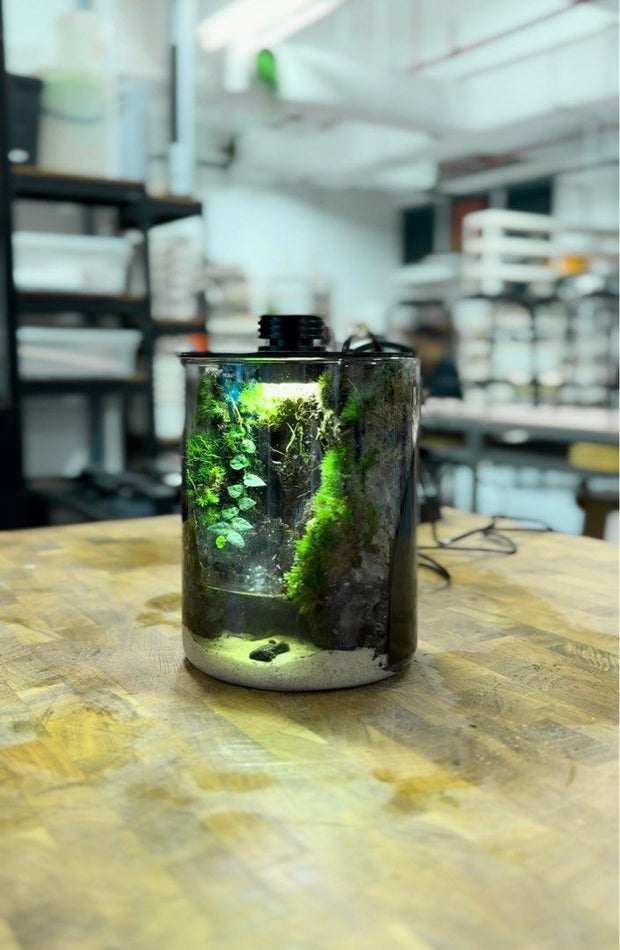 Nano Desktop Waterfall - Miniature Zen Garden Ecosystem&nbsp;🌿💧